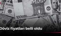 Serbest piyasada döviz kurları: Dolar 49,80 TL!