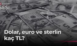 Yeni haftanın döviz kurları belli oldu!