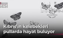 Posta Dairesi’nin yeni pul serisi ve ilk gün zarfları perşembe günü satışa sunuluyor