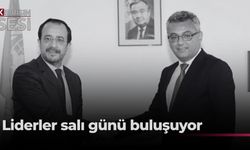 Liderler salı günü bir araya gelecek… Erhürman ve Hristodulidis, üç komite ile görüşmeler de yapacak