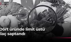 Denetimlerde dört üründe limit üstü veya tavsiye dışı bitki koruma ürünü tespit edildi