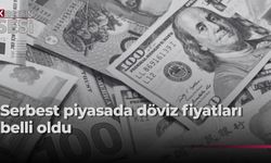 Serbest piyasada döviz kurları açıklandı