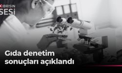 Gıda denetimi yapılan tüm numuneler temiz
