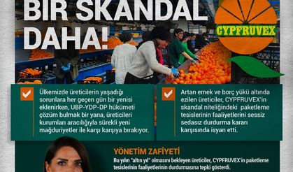 CYPFRUVEX'TE BİR SKANDAL DAHA!