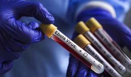 Sınır Tanımayan Doktorlar: Ebola daha önce benzeri görülmemiş bir hızla yayılıyor