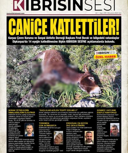 CANİCE KATLETTİLER !