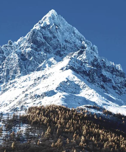 Yapay zeka kayıp dağcıyı nasıl buldu?