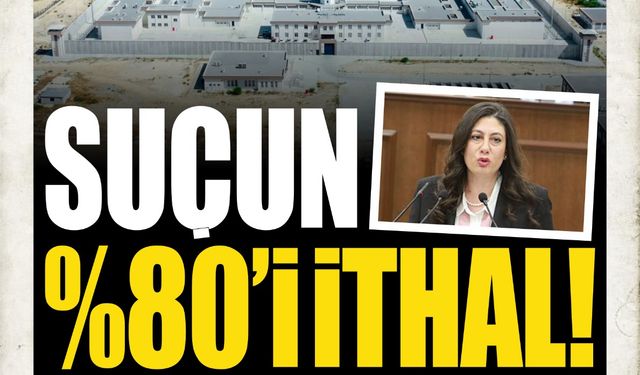 SUÇUN %80'İ İTHAL!