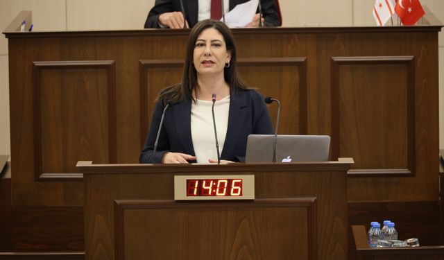 İncirli: “Suçlardaki artışın en büyük sebebi nüfus yoğunluğu”