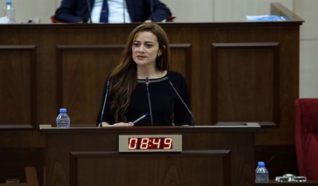 Meclis’te Töre ve Derya arasında gerginlik yaşandı… Derya: Töre,“Utanması gerekiyor”