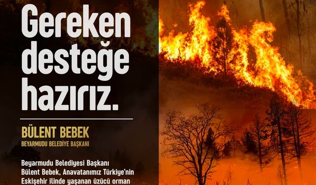 Başkan Bebek’ten yangın felaketlerine dair açıklama: “Gereken desteğe hazırız”