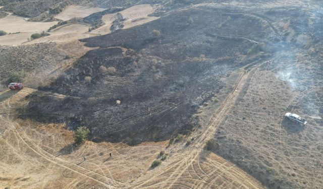 Kozanköy–Hisarköy Arasında Yangın: 74 Dönüm Makilik Alan Zarar Gördü