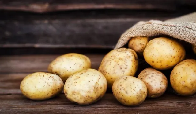 Genel Tarım Fonu: Ekilen patates arazilerinin beyan edilmesi için bugün son gün!