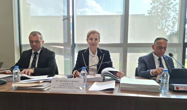 Bayrak Radyo Televizyon Kurumu ve Kişisel Verileri Koruma Kurulu bütçeleri komiteden geçti