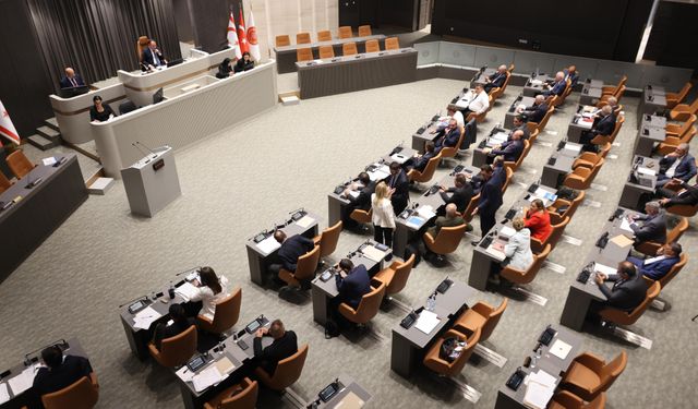 Genel Kurul, yasama ve denetim göreviyle toplanacak