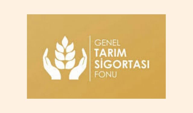 Barınak zararları ödendi