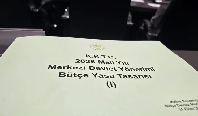Serbest Liman ve Bölge Müdürlüğü ile Rekabet Kurulu bütçeleri Komite'de onaylandı