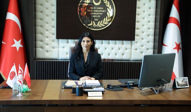 Toplumsal Cinsiyet Eşitliği Dairesi Tam Teşekküllü Şekilde Açılmalıdır