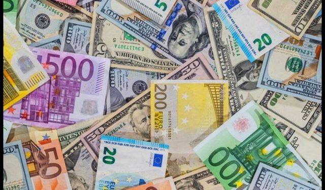 Döviz kurları rekor tazeledi