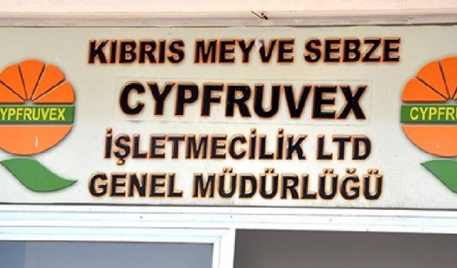 Cypfruvex, narenciye alım fiyatlarını açıkladı: Başvurular bugünden itibaren başlıyor