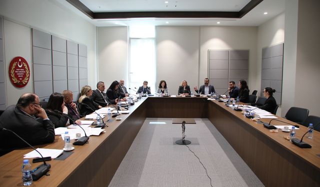 Hukuk, Siyasi İşler, Dışilişkiler ve Savunma Komitesi, Ceza (Değişiklik) Yasa Tasarısı’nı görüştü