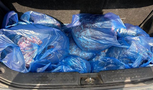 Metehan Sınır Kapısı'nda 94 kilo kaçak et ele geçirildi
