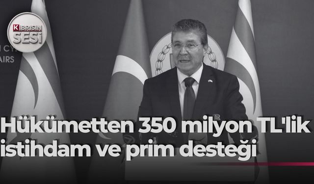 Başbakan Üstel yeni teşvik paketini açıkladı: İstihdama 350 Milyon TL'lik dev destek