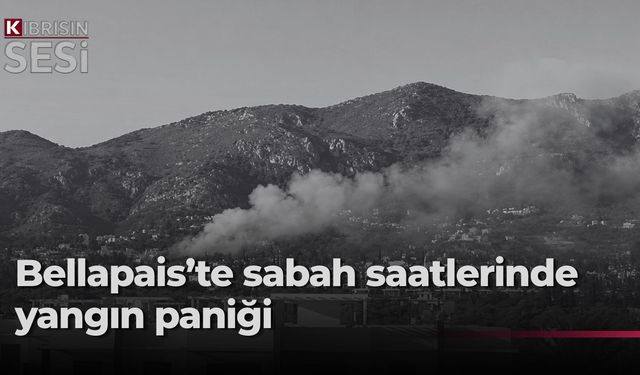 Bellapais'te çıkan yangın kontrol altına alındı