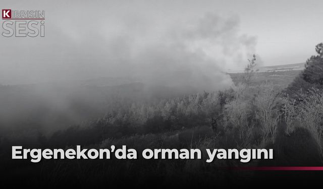 Vatandaşlara acil destek çağrısı yapıldı