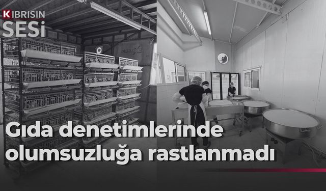 Veteriner Dairesi’nden gıda denetimi