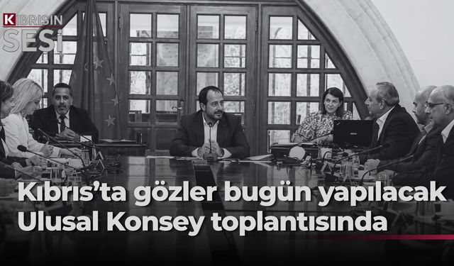 Hristodulidis, Ulusal Konsey’i son temaslar hakkında bilgilendirecek