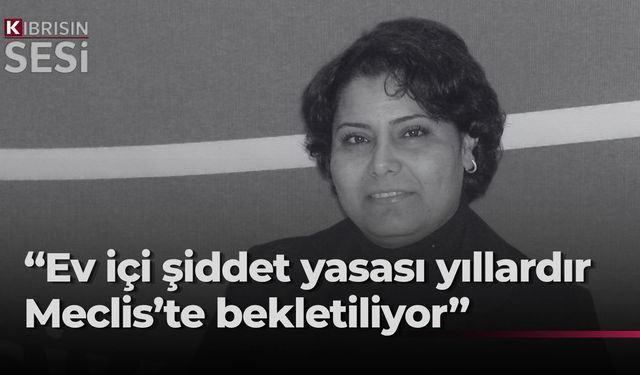 Yiğiter'den hükümete çağrı: “Ev İçi Şiddet Yasası'nı bir an önce geçirin”
