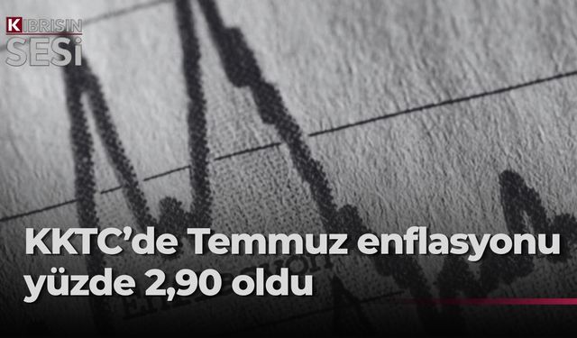 Temmuz ayı enflasyon oranı yüzde 2,90… Fiyatı en çok artan salatalık