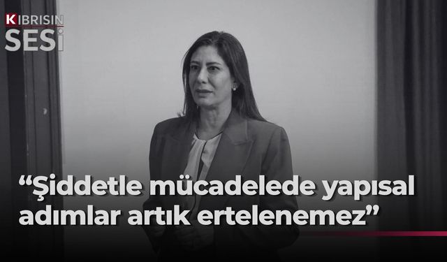 İncirli: “Suçu önleyecek kurumsal yapıdan yoksunuz”