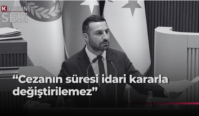 Solyalı: Cezaevi Müdürü’ne verilen yetki yargıya müdahaledir