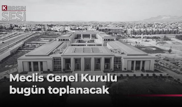 Meclis, toplum güvenliği gündemiyle olağanüstü toplanıyor