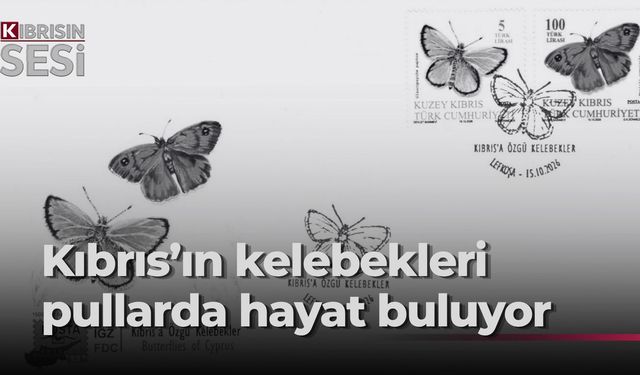 Posta Dairesi’nin yeni pul serisi ve ilk gün zarfları perşembe günü satışa sunuluyor