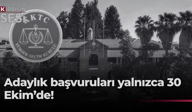 YSK'dan açıklama: Adaylık başvuruları 30 Ekim'de yapılacak