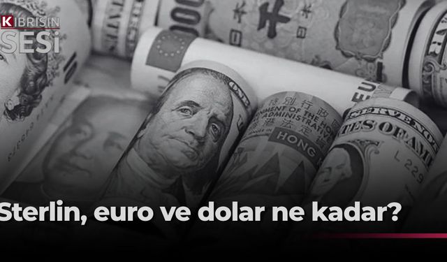 Döviz piyasasında son durum