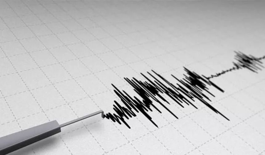 Japonya - Ogasawara Adaları açıklarında 6,9 büyüklüğünde deprem