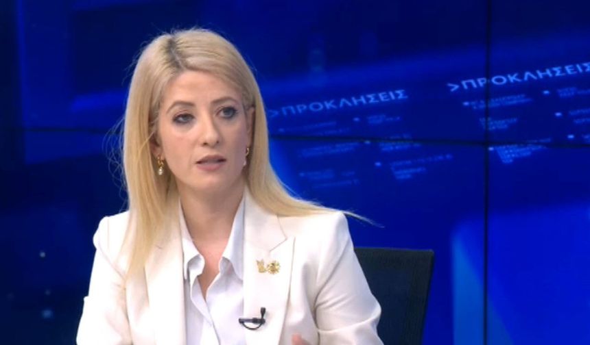 Dimitriu: Kıbrıs sorununun çözümünde gerçek ilerleme için sorunun özü ele alınmalı