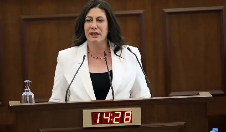 İncirli: “Sağlıkta perspektifimizi derinleştirmemiz gerek”