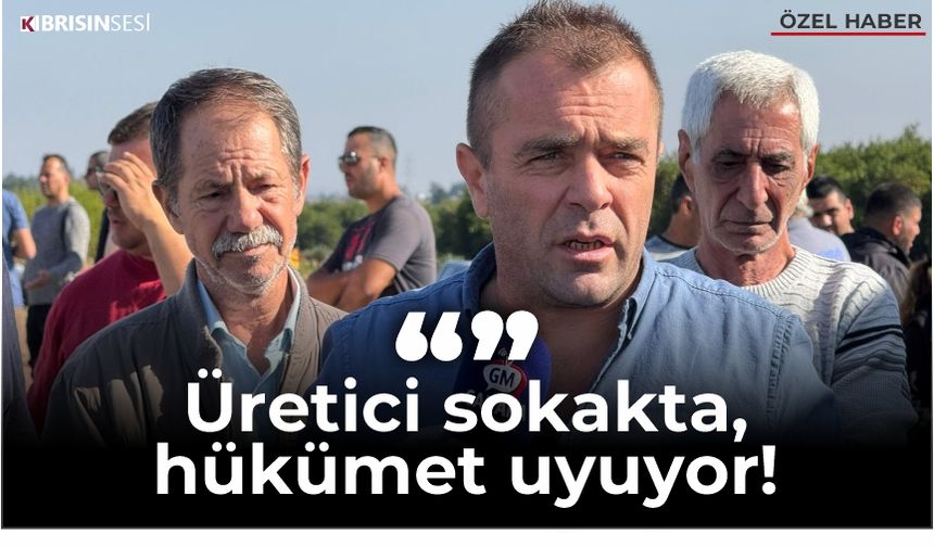 ŞAHİNER:"ÜRETİCİ SOKAKTA, HÜKÜMET UYUYOR!"