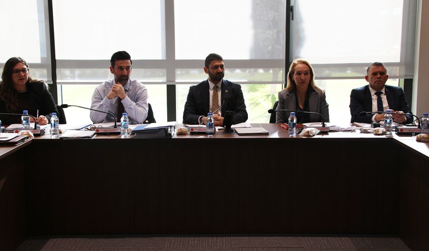 Cumhuriyet Meclisi, İdari, Kamu ve Sağlık İşleri Komitesi  toplandı