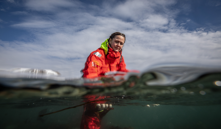 Türk bilim insanları Antarktika'daki araştırmalarıyla sağlık ve tarıma ışık tutuyor