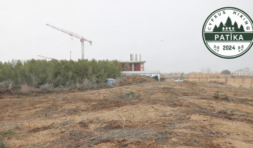 Patika Doğa Sporları Derneği İskele’de ağaç sökülmesinin durdurulmasını isted