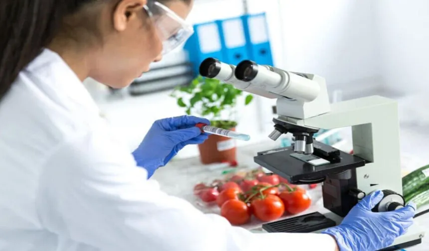 Gıda denetimleri… Armut, elma ve çilekte limit üstü, salatalıkta tavsiye dışı bitki koruma ürünü