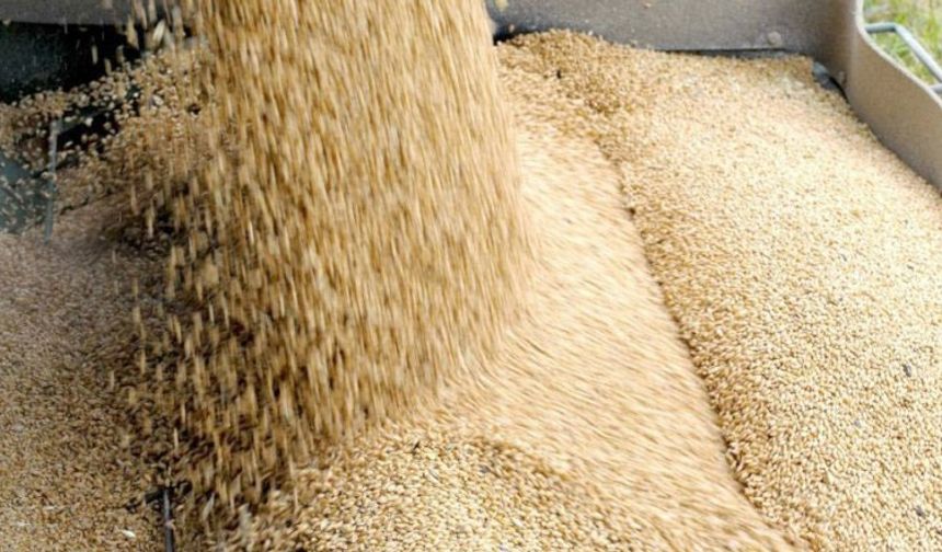 TÜK, arpa sevkiyatının olumsuz hava koşulları nedeniyle tamamlanamadığını duyurdu