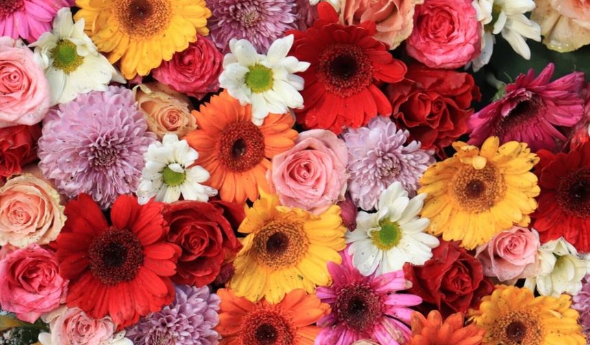 8 Mart Dünya Emekçi Kadınlar Günü mesajları…