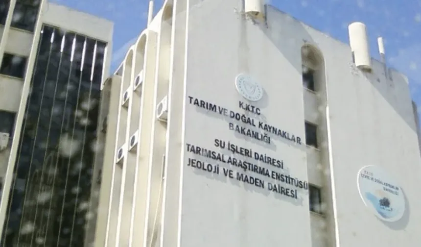 Küçükbaş destek ödemeleri perşembe günü yapılacak